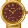 Casio LTP-B170G-5BVDF Kadın Kol Saati